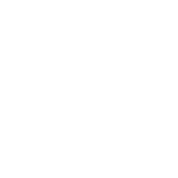 arbre de noel